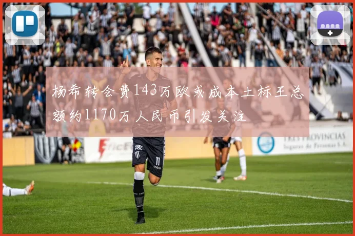 杨希转会费143万欧或成本土标王总额约1170万人民币引发关注